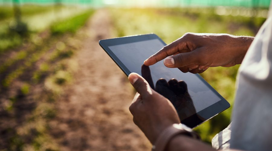 From Tractor Tweets to Crop Status Updates: How AI is Cultivating the Future of Farming