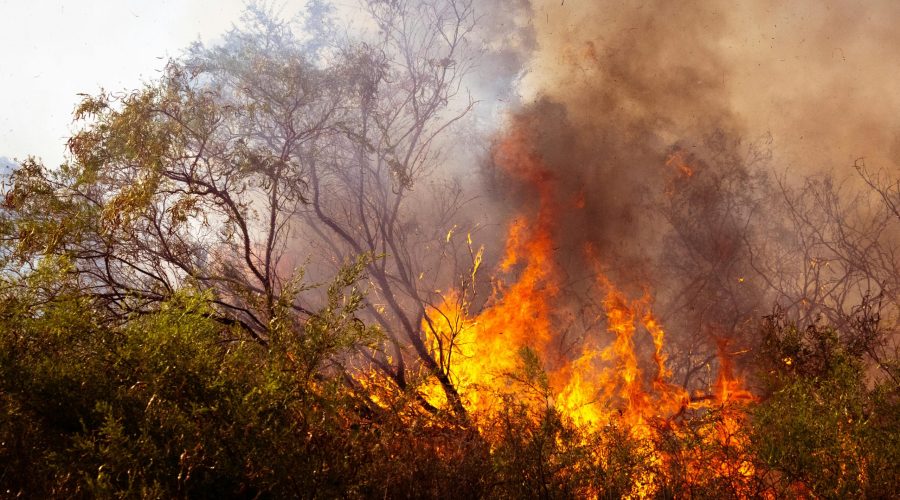 Fire Season Awareness: Fire Prevention and Fighting Tips